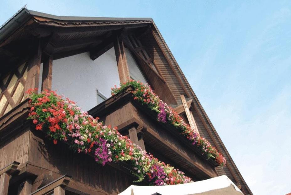 Gasthaus Zur Traube Winterrieden 외부 사진